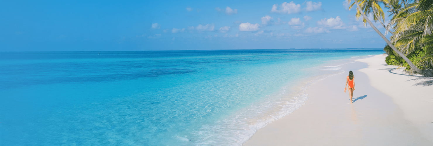 Travel Smarter logo.