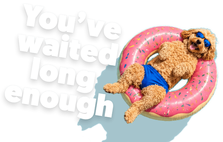 You've Waited Long Enough - Let Us Take You There logo.